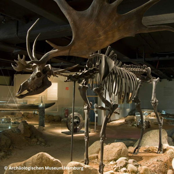 Archäologisches Museum Hamburg und Stadtmuseum Harburg