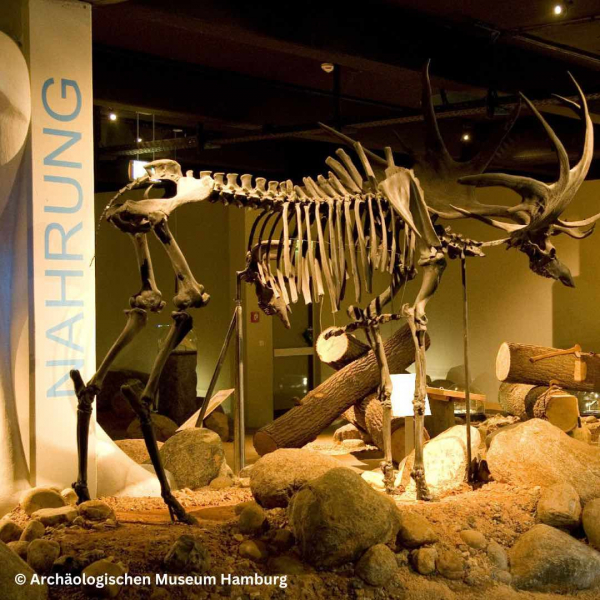 Archäologisches Museum Hamburg und Stadtmuseum Harburg