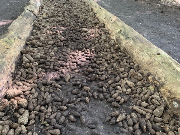 Barfußpark Egestorf