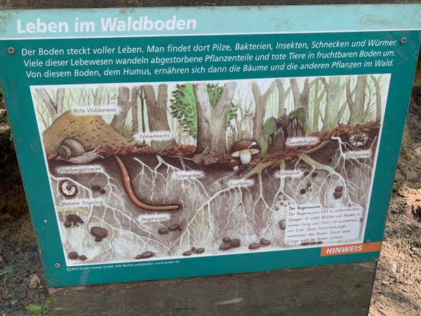 Barfußpark in Egestorf