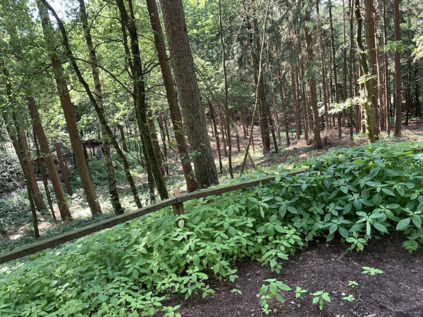 Barfußpark in Egestorf