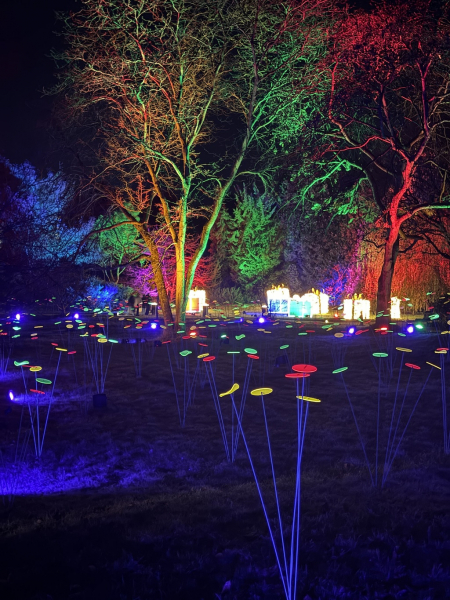 Christmas Garden Hamburg 2025