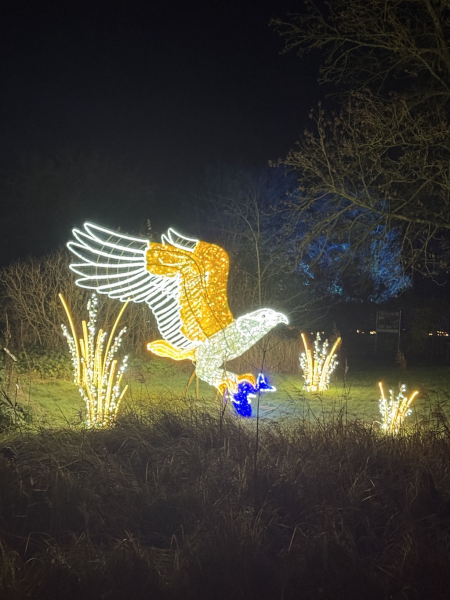 Christmas Garden Hamburg 2025