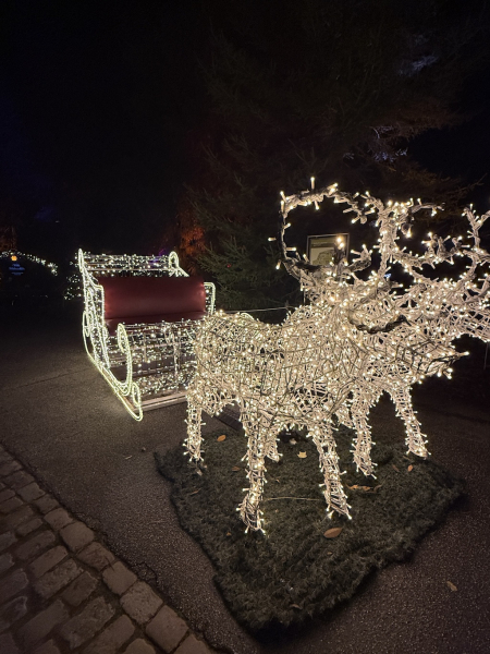 Christmas Garden Hamburg 2025