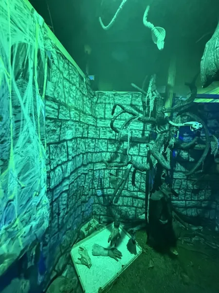 Das Halloween Haus Hamburg in Lokstedt