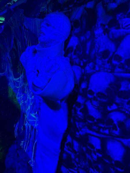Das Halloween Haus Hamburg in Lokstedt