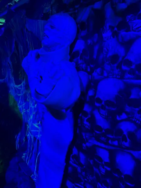 Das Halloween Haus Hamburg in Lokstedt