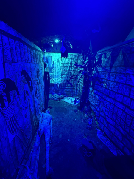 Das Halloween Haus Hamburg in Lokstedt