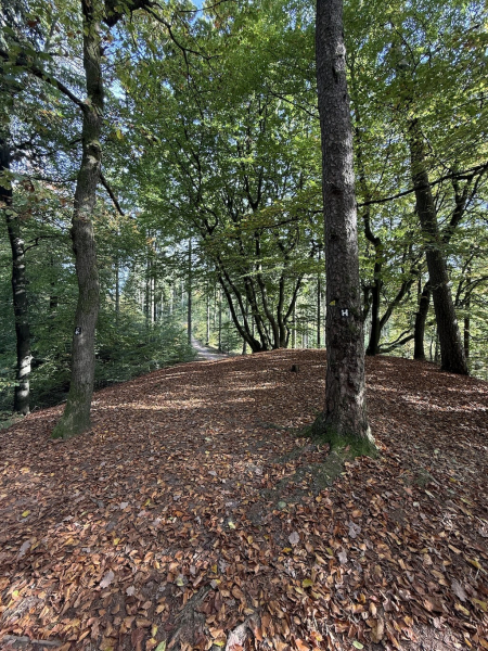Der Karlstein im Regionalpark Rosengarten