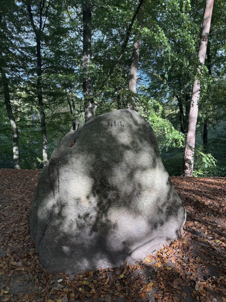 Der Karlstein im Regionalpark Rosengarten