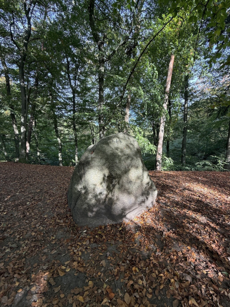 Der Karlstein im Regionalpark Rosengarten