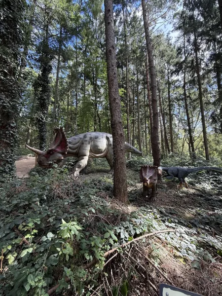 Dinowelt im Wildpark Schwarze Berge – Urzeit hautnah erleben