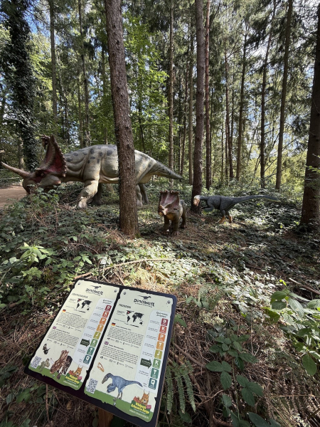 Dinowelt im Wildpark Schwarze Berge – Urzeit hautnah erleben