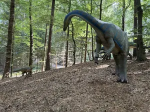 Dinowelt im Wildpark Schwarze Berge – Urzeit hautnah erleben 