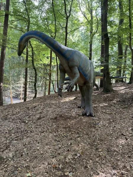 Dinowelt im Wildpark Schwarze Berge – Urzeit hautnah erleben