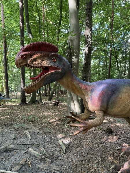 Dinowelt im Wildpark Schwarze Berge – Urzeit hautnah erleben