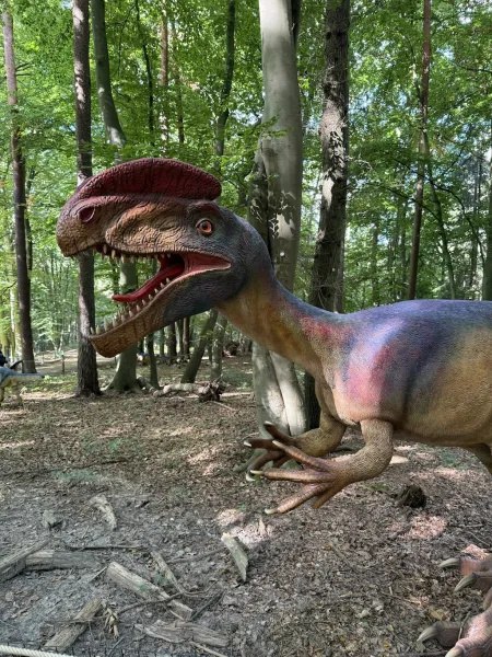 Dinowelt im Wildpark Schwarze Berge – Urzeit hautnah erleben