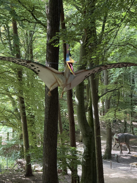 Dinowelt im Wildpark Schwarze Berge – Urzeit hautnah erleben