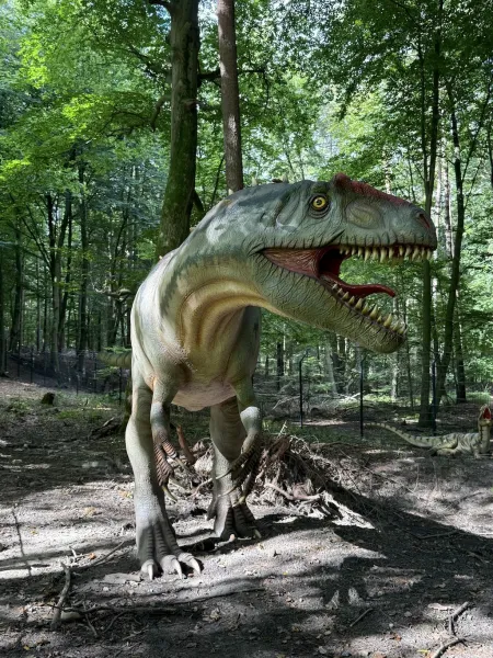 Dinowelt im Wildpark Schwarze Berge – Urzeit hautnah erleben
