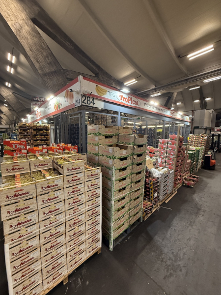 Familienfreundliche Führung über den Hamburger Großmarkt