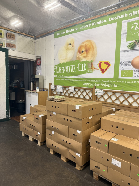 Familienfreundliche Führung über den Hamburger Großmarkt