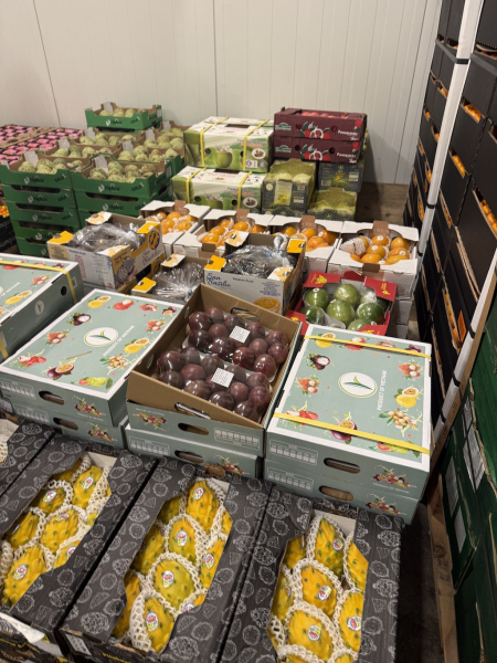 Familienfreundliche Führung über den Hamburger Großmarkt