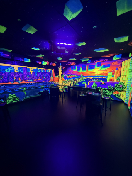 Geburtstag feiern im Indoo Fun & Action Park Hamburg