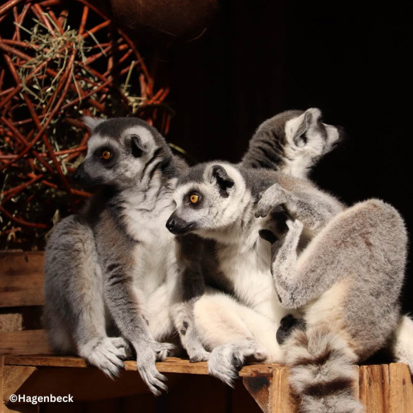 Hagenbecks Tierpark und Tropenaquarium