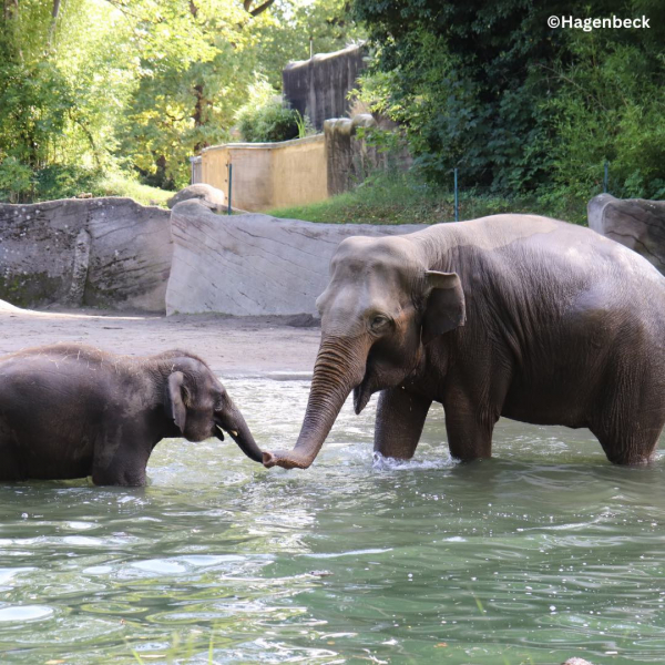 Hagenbecks Tierpark und Tropenaquarium