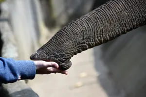 Hagenbecks Tierpark und Tropenaquarium 