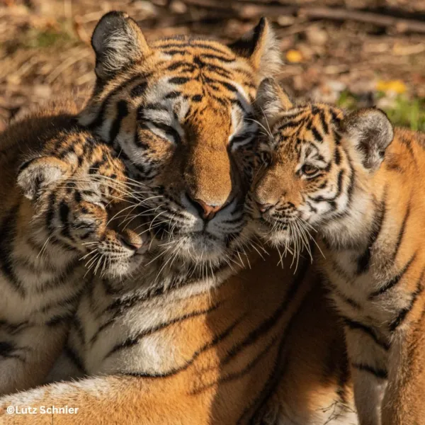 Hagenbecks Tierpark und Tropenaquarium