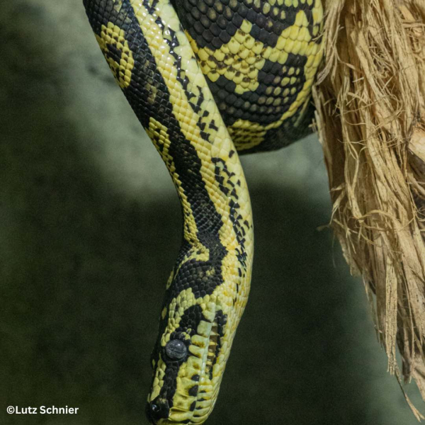 Hagenbecks Tierpark und Tropenaquarium