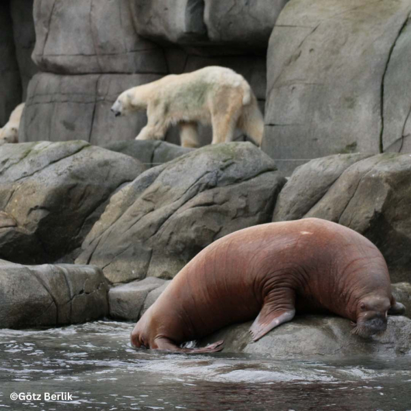 Hagenbecks Tierpark und Tropenaquarium