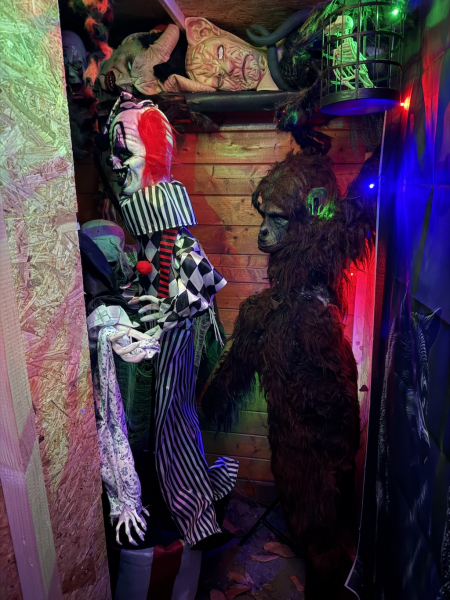 ? Halloween Fackelwanderung & Halloween Gruselgarten Seevetal