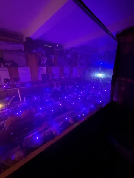 ? Halloween Fackelwanderung & Halloween Gruselgarten Seevetal