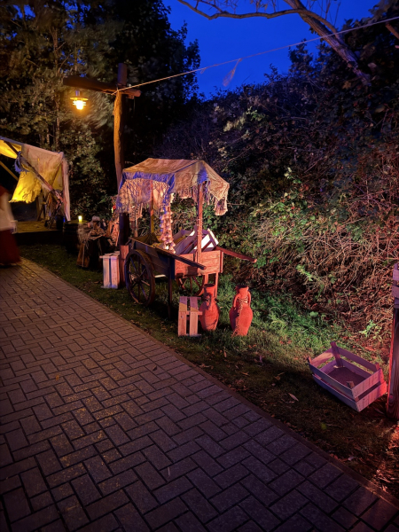 Halloween Nights im Serengeti-Park - 03.10. bis 02.11.2025