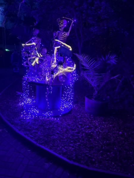 Halloween Nights im Serengeti-Park - 03.10. bis 02.11.2025