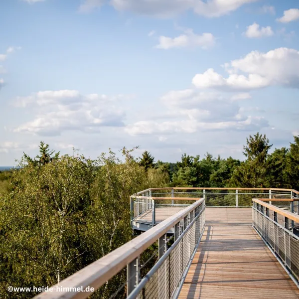 Heide Himmel Baumwipfelpfad