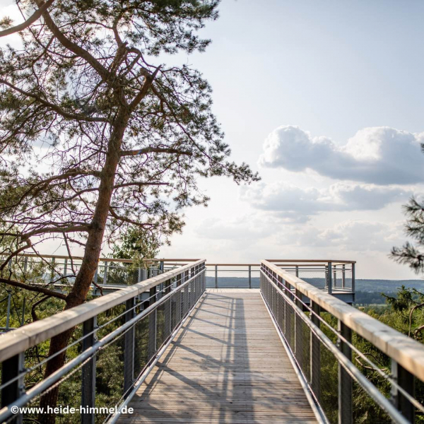 Heide Himmel Baumwipfelpfad