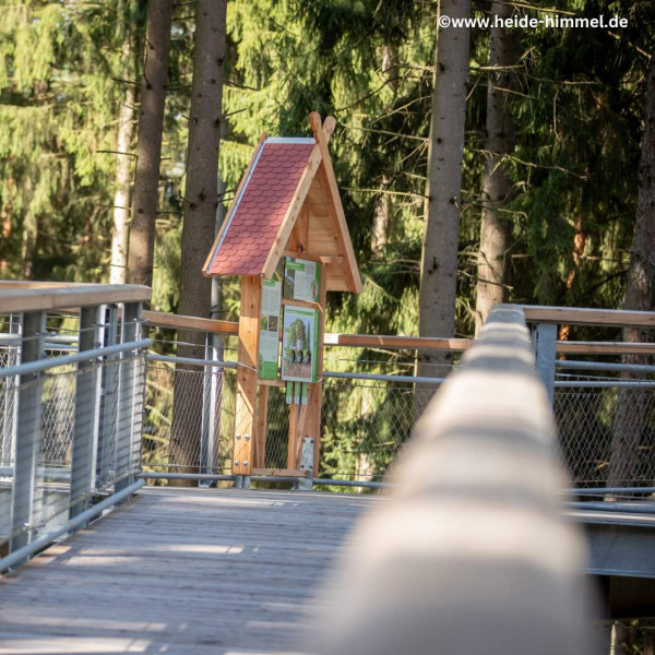 Heide Himmel Baumwipfelpfad