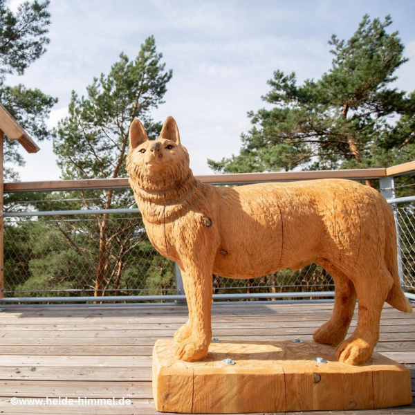 Heide Himmel Baumwipfelpfad