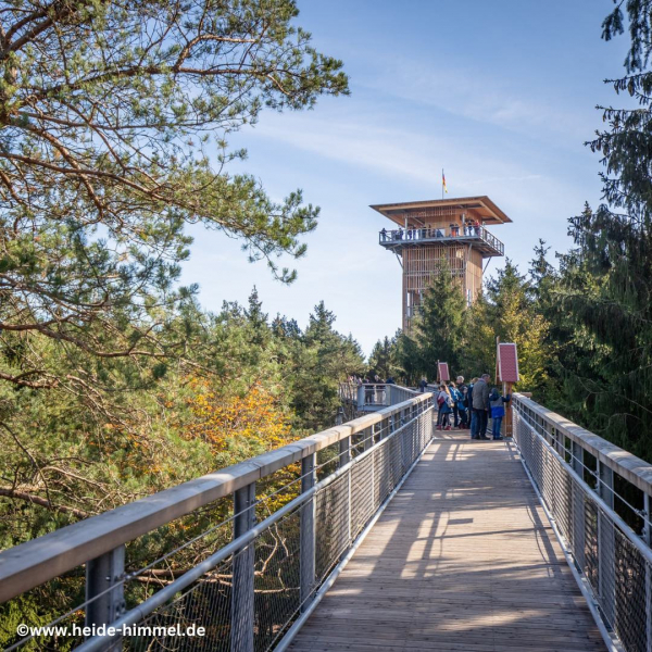 Heide Himmel Baumwipfelpfad