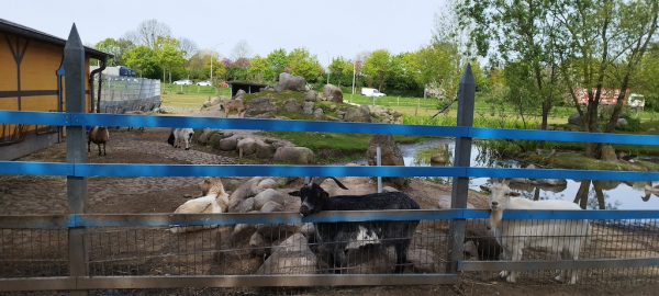 Kinderbauernhof Kirchdorf