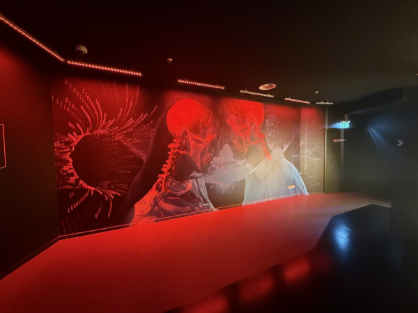 Kindergeburtstag im Paradoxmuseum Hamburg feiern