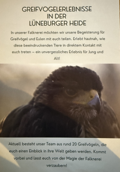 Kindergeburtstagsidee: Ein Tag als Kinderfalkner in der Heide Falknerei