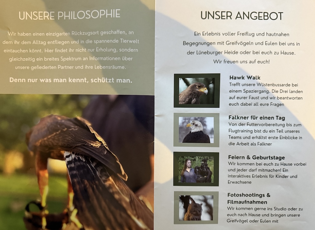 Kindergeburtstagsidee: Ein Tag als Kinderfalkner in der Heide Falknerei