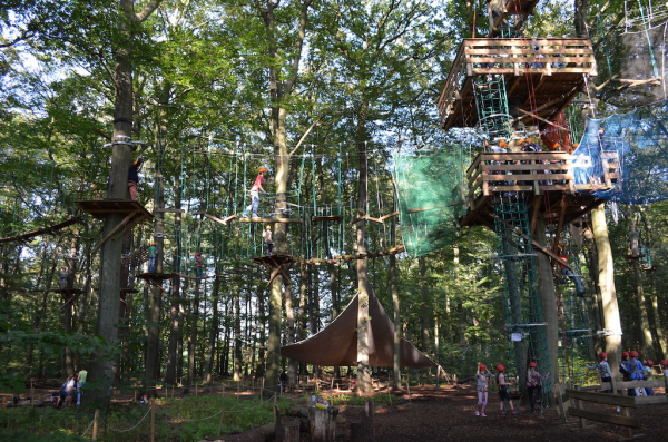 Kletterpark Hamburg Sachsenwald