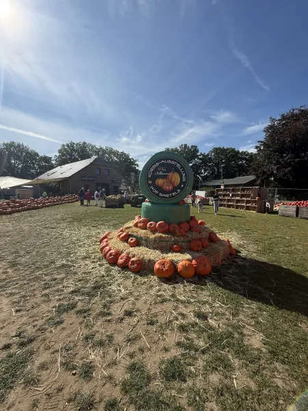 Kürbisausstellung auf dem Hof Bartels in Neuwulmstorf