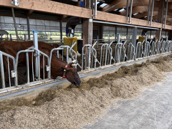 Landhof zum Dorfkrug