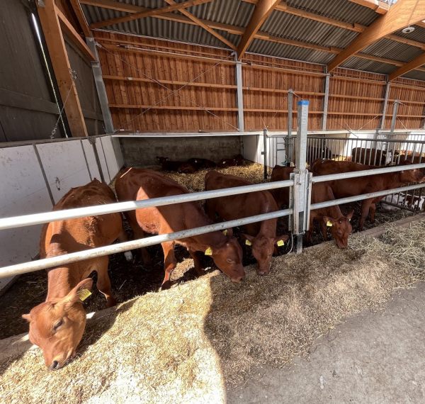 Landhof zum Dorfkrug